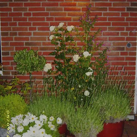 Hotel Landgasthof Mühle 3*